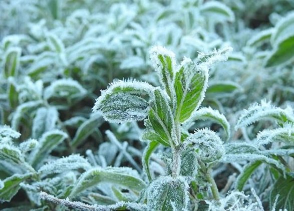 Suhu di Malang Mencapai Titik Terendah